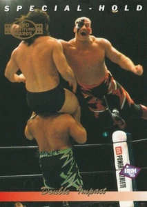 Hell Raisers (Hawk & Power Warrior) 1995 BBM Pro Wrestling Special Hold #199 - Picture 1 of 2