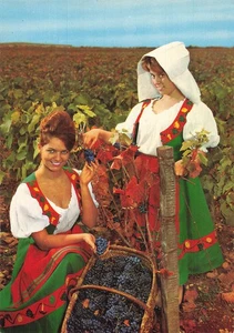 81 LE TARN COSTUMES LES VENDANGES - Imagen 1 de 2