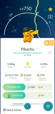 Pokémon Shiny Pikachu Fragment ( Street Hat ) GO - Image 1 of 2