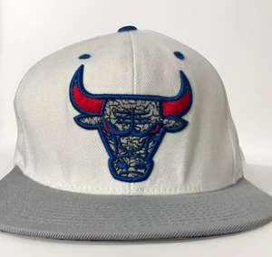 Chicago Bulls Mitchell & Ness Snapback Hat Cap Gray/White/Blue/Red Adjustable  - Picture 1 of 5