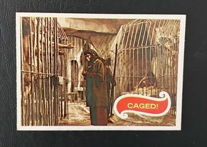 Planet of The Apes Film Canadian O-Pee-Chee 1967 #21 Caged! Card - Picture 1 of 2