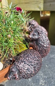 Garden Gift Hedgehog Pot Hangers BRONZEDoutdoor ornament Birthday PHHHb - UK - Picture 1 of 5