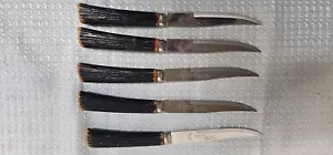 5er Set Vintage Westall Richardson Sheffield Edelstahl Steakmesser Messer - Bild 1 von 4