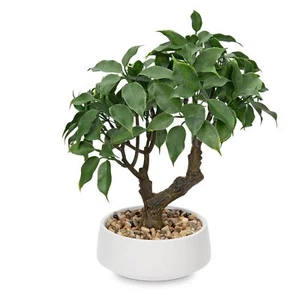 Artificial Bonsai Tree Small Ficus Bonsai Tree 13" Indoor Bonsai Tree Fake Po... - Picture 1 of 7