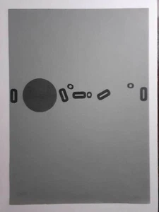 Ermanno Leinardi - Serigrafia 70 x 50 cm. - Ottimo - PUBBLICATA - - Picture 1 of 4