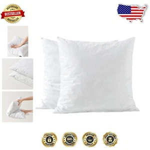 Plush 24x24 Memory Foam Throw Pillow Inserts - Soft Cotton Fabric, 2 Count - Picture 1 of 8