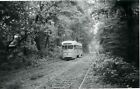 OD459 (3) RP 1960s  BALTIMORE TRANSIT CO CAR #7105 8-CATONSVILLE SIGN