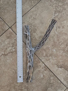 12" Y Shaped Cholla Wood Cactus Untreated Fish Reptiles Crabs Birds - Picture 1 of 2