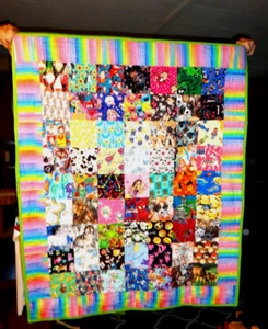 Finished quilt 38.5 w x 48 l, I spy squares, painting tigers, Holiday present - Picture 1 of 9