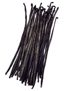 100g Gourmet Indonesien Vanille, 18-20cm, 4-5 g/Schote, ölig, frisch - Bild 1 von 2