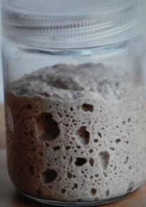 San Francisco SOURDOUGH STARTER 145yo cimelio famiglia certificato molo biologico - Foto 1 di 12