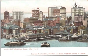 Original 1902 Antique Postcard TALL BUILDINGS SKYLINE - Lower New York City - Picture 1 of 2