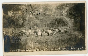 Vintage 1916 RPPC Postcard HAITI USMC Pack Mule Train Photograph Photo - Picture 1 of 2