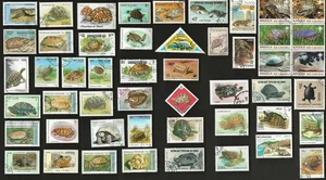 50 All Different  TURTLES & TORTOISES  ON   STAMPS - Picture 1 of 1