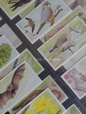 Full Set A JOURNEY DOWNSTREAM by Brooke Bond & Co Ltd 1990