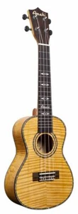 Amahi C-01 Concert Ukulele - Picture 1 of 1