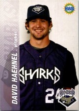 2006 Honolulu Sharks Minor League Baseball #24 David Haehnel 