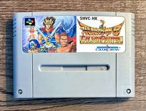 Hiryuu no Ken S Golden Fighter Nintendo Super Famicom SFC Fighting Game - Picture 1 of 1