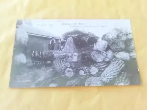 SELTEN 1908 MARTIN FARM ÜBERTRIEBEN RPPC MAISSALAT PUMPKING SHICKLEY NEBRASKA - Bild 1 von 4