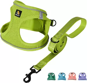 Puppy Harness with Leash Set, Step in Harness for Small Dogs, Dog Air Mesh Dog V - Picture 1 of 12