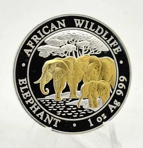 1 OZ plata African Wildlife Elefant Somalia 2013 dorado desalojo de almacén - Imagen 1 de 2