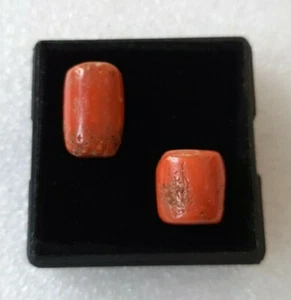 16'Ct Coral Cabochon 100%Natural Italian Sea coral 2'Pieces Loose coral Gemstone - Picture 1 of 6