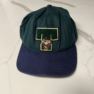 Vintage Looney Tunes Taz Hat Snapback Dad Gift Cap 1991 Acme Clothing Green EUC - Picture 1 of 8