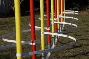 AGILITY-SLALOMBÖGEN / TRAININGSBÖGEN FÜR SLALOMSTANGEN-DURCHMESSER 24mm - 37mm - Bild 1 von 7