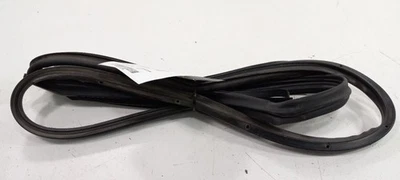 Ford Fiesta en puerta sello goma pasajero derecho trasero trasero 2014 2015 2016 2017 18 Foto 1 de 4