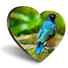 Heart MDF Coaster Beautiful Superb Starling Bird #50218