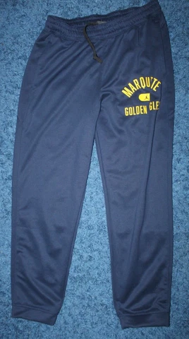 Nike Dri-Fit Jordan Marquette Golden Eagles Sweat Pants Sz L DD6368-419 NWT Cover
