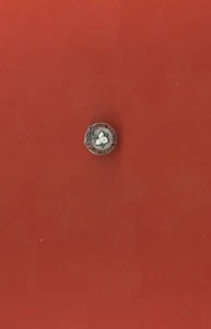 PIN TRASERO TORNILLO ESTERLINA ASOCIACIÓN SERVICIO CIVIL ONTARIO VINTAGE - Imagen 1 de 1