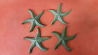 4 Castiron Star Fish