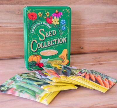 T&M Green Seeds Storage Collection Tin x1 with Vegetable Seeds Flowering Garden - Image 1 of 4