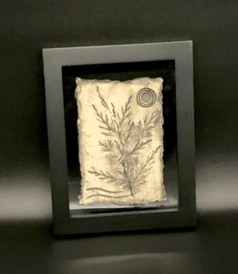 Framed Wall Art Pottery Handmade (7 1/2” X 9 1/2”) at ClayByKirt small studio - Picture 1 of 2