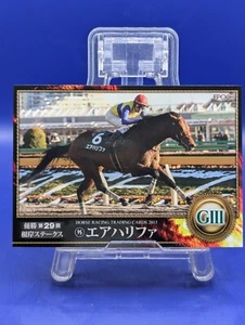 Tarjeta coleccionable Air Harifa 10 carreras de caballos 2015 TCG EPOCH japonesa de colección rara - Imagen 1 de 6