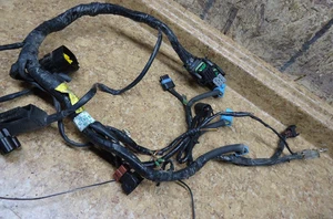 2001 Triumph Sprint RS 955I 955 I Electrical Wire Harness Loom Wiring Plug 01 - Foto 1 di 1