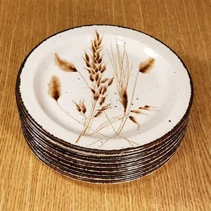WEDGWOOD Stonehenge PLATOS DE POSTRE DE PAN AVENA SILVESTRE MEDIADOS DE INVIERNO (lote de 5) Inglaterra - Imagen 1 de 1