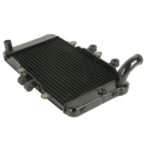 Motorcycle Cooling Radiator Cooler For Honda BROS400 1988-1990 BROS 650 NTV650 - Picture 1 of 7
