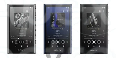 Sony Walkman NW-A306 32G Black Blue Gray Music Without Original Box - Image 1 of 4