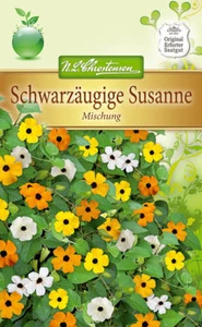 Chrestensen Schwarzäugige Susanne Mischung Kletterpflanze Ca.20 Samen 5652 - Bild 1 von 2