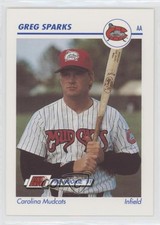1991 Line Drive Pre-Rookie AA Greg Sparks #117