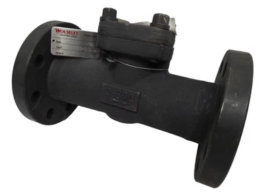 Warren 2" DN50 Forged C Steel Swing Check Valve, Flanged, CL300 RF, P092, A105 - Image 1 of 4