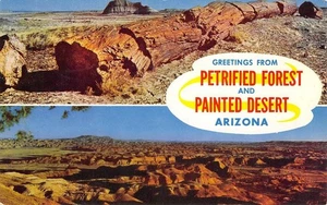 VERSTEINERTER WALD & BEMALTE WÜSTE Arizona 1964 Chrom Vintage Postkarte - Bild 1 von 2