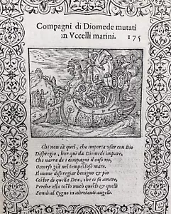 1559 Drakkar Gravure Diomède Oiseaux marins Ornithologie Métamorphoses Ovide - Bild 1 von 4