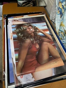 #122 Vintage 1976 Poster 28x20 THE Farrah Fawcett Iconic Pro Arts ORIGINAL NEW! - Picture 1 of 10