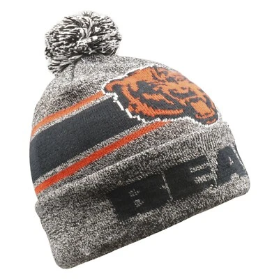 Chicago Bears 2019 Forever Collectibles NFL gris gorro iluminado ENVÍO GRATUITO Foto 1 de 2