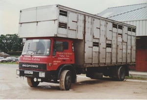 Larger Photo, Bedford TL Livestock Box, Cestrian Calf Centre, Kingsley, Cheshire - Picture 1 of 1