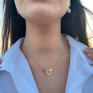 Doble Venus Símbolo Dije Lesbiana LGBT Collar Colgante Girlslove LES Stainles - Imagen 1 de 8