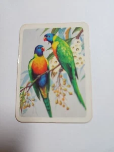 Australiana bird studies card - # 78 - free postage - lot 41 - Picture 1 of 2